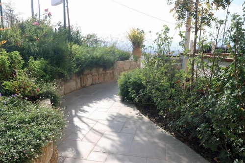 HaBaronit image 46